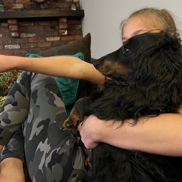 Meet your Posher, Tara - Picture 5 of 6